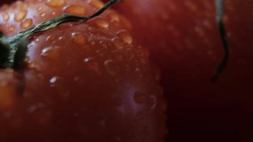 Beautiful red tomatoes, water drops macro video. Fresh wet healthy tomato for eating and cooking from organic farm.