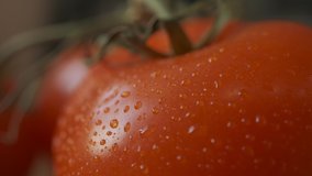 Beautiful red tomatoes, water drops macro video. Fresh wet healthy tomato for eating and cooking from organic farm. Selective focus.