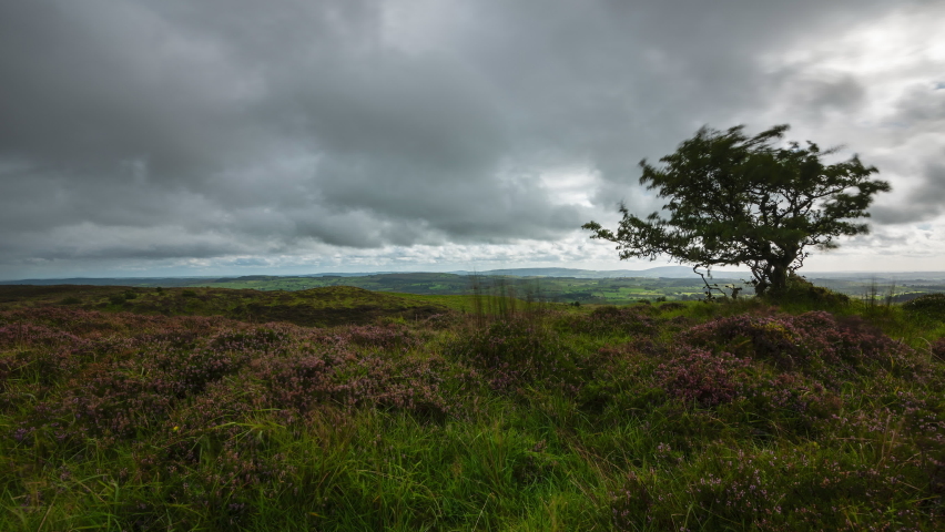 Time lapse of rural landscape with grass fields and hills during a cloudy day in Ireland.