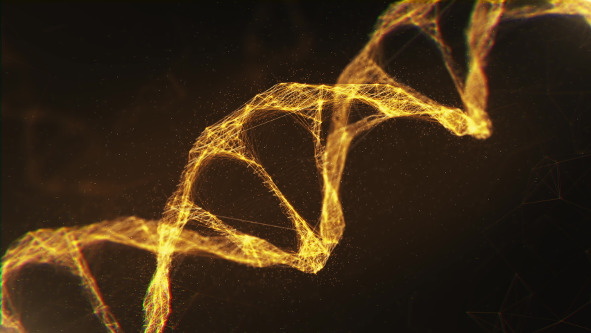 Close-up Golden Molecules Structure DNA Rotating on Glowing Backdrop. Bright 3D Animation Biotech DNA Model Rotation. Hologram of Genome Information Deoxyribonucleic Acid Body. Microscopic Concept 4k Royalty-Free Stock Footage #1067635685