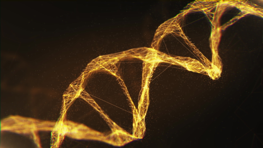 Close-up Golden Molecules Structure DNA Rotating on Glowing Backdrop. Bright 3D Animation Biotech DNA Model Rotation. Hologram of Genome Information Deoxyribonucleic Acid Body. Microscopic Concept 4k | Shutterstock HD Video #1067635685
