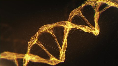 Close-up Golden Molecules Structure DNA Rotating on Glowing Backdrop. Bright 3D Animation Biotech DNA Model Rotation. Hologram of Genome Information Deoxyribonucleic Acid Body. Microscopic Concept 4k