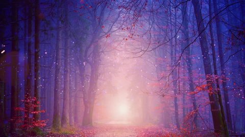 Magical forest fairy lights background