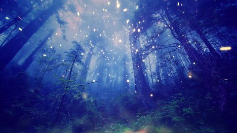 Magical forest fairy lights background