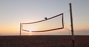 Volleyball net, flying bird and beautiful sunrise over the sea. Morning on the beach.