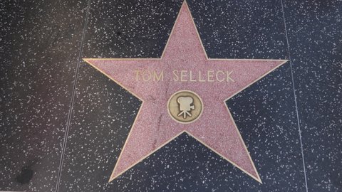 Los Angeles , California, United States - 09 14 2019:The Hollywood Walk of Fame in Loss Angeles, California, USA