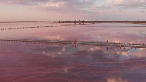 Aerial sunset drone view to old Salt mining mineral lake with pink water, coastline. fantasy, remote, surreal, unearthly landscape. Kherson region, Ukraineの動画素材