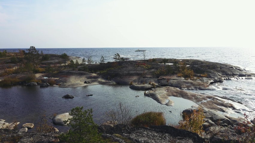 Geology. Baltic crystalline shield, esker. Glaciated landscape (glacial plaining). Stone cape, sheepback rock with small autumn birch, dwarf pines in North Ladoga lake (Ladoga skerries)