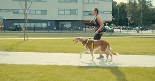 Woman of runner and dog on city street under sunrise sky in morning time. Outdoor walking. Athletic young girl with his dog are running in town. 4K video