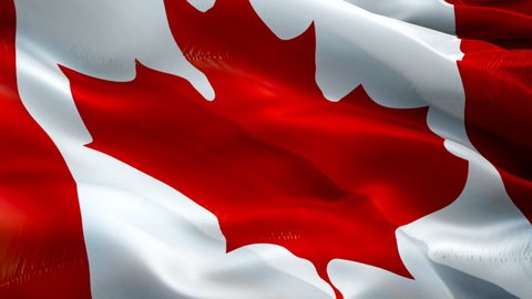 Canada flag. National 3d Canadian flag waving. Sign of Canada seamless loop animation. Canadian flag HD Background. Red maple leaf flag Closeup 1080p HD video. Red maple leaf symbol Toronto, Montreal
