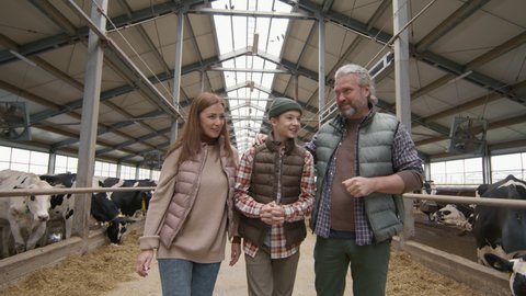 Tracking shot of middle-aged man and woman showing their teenage son around family dairy farm. They are walking through facility with cows in feedlots and talking
