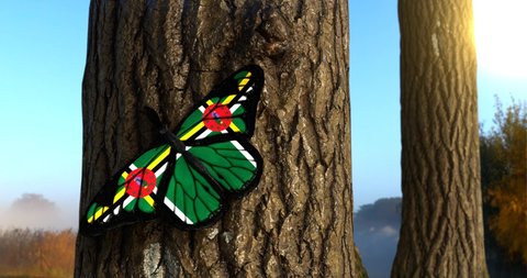 Flag of Dominica on Butterfly Wings Realistic 4K UHD 60FPS