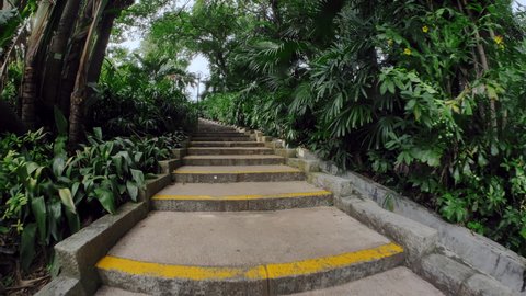 Nice view of the park in the city. Climbing up the steps in the summer park. Palm trees grow around. Outdoor walks. Flowers and Footpath. Tourist place. Sidewalk. Pavement. Garden. Dolly.