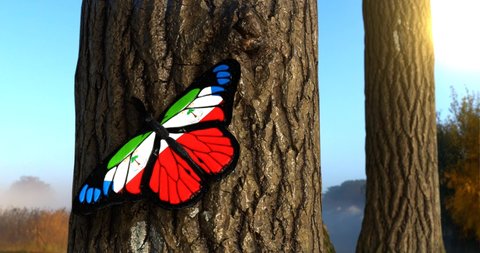 Flag of Equatorial Guinea on Butterfly Wings Realistic 4K UHD 60FPS