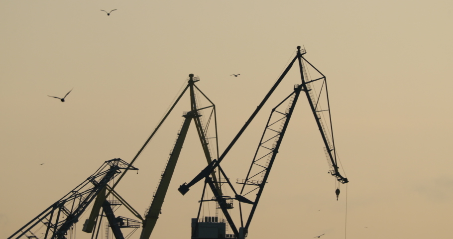 Cranes of of the Baltic shipyard on a frosty winter day, steam over the Neva river, sunset, Flying birds