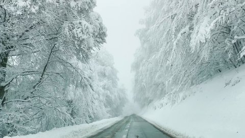 SLOW MOTION, POV: Scenic shot of driving along an empty country road crossing the snowy woods. Picturesque first person shot of a leisurely drive along a picturesque backcountry road in wintry Bohinj.