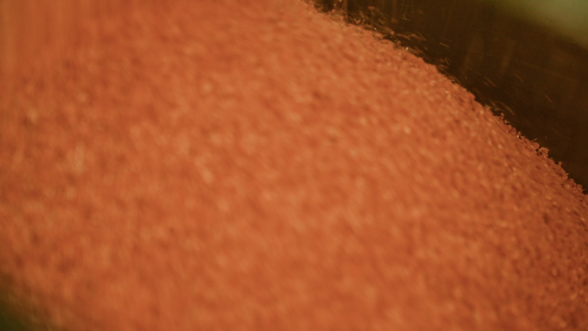 Close up scene of agricultural products pouring on conveyor in factory.