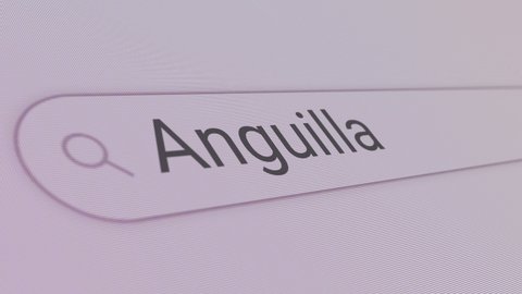 Anguilla Search Bar 
Close Up Single Line Typing Text Box Layout Web Database Browser Engine Concept