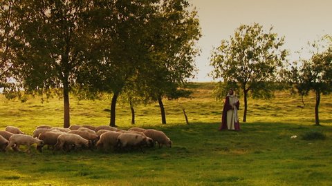 Lonely and anonymous shepherd with his flock of sheep in the meadow. Symbolic scene of Jesus Christ, the Good Shepherd.