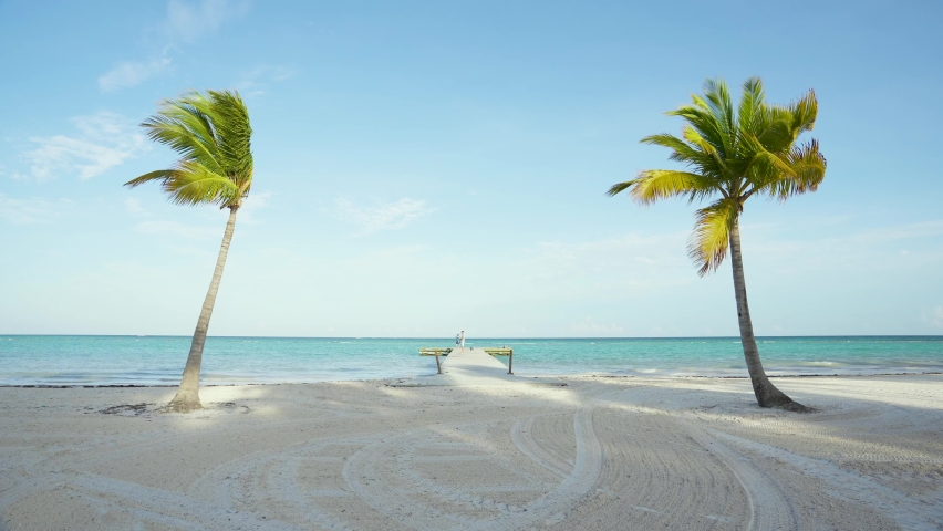 Sunset on the palm beach 4k video. Palm trees stand on white sand near the blue sea. The nature of the Dominican Republic.