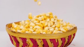 Corn seeds falling view, Close falling view of corn seeds. - Powered by Shutterstock - Get 15% off with code: PIKWIZARD15