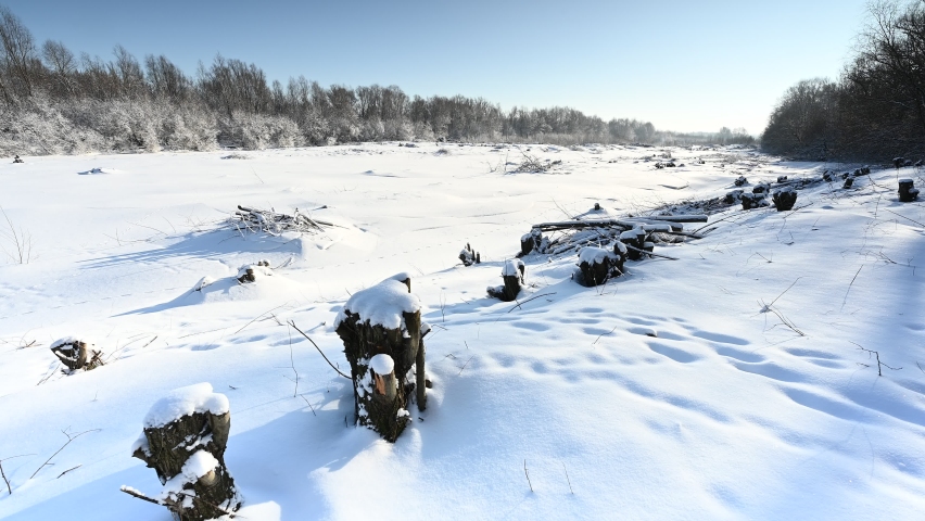 Trunks of felled trees on the river bank in sunny winter snowy
 day