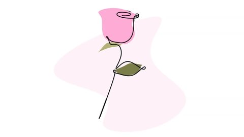 Pink rose one line continuous drawing, single line art, flower sketch, doodle animation