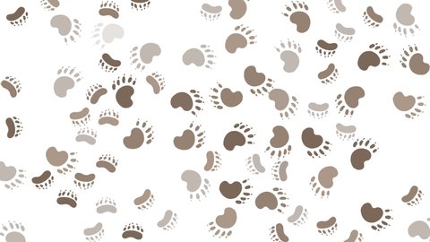 Track the bear paw video. Brown and white animal footprint motion.