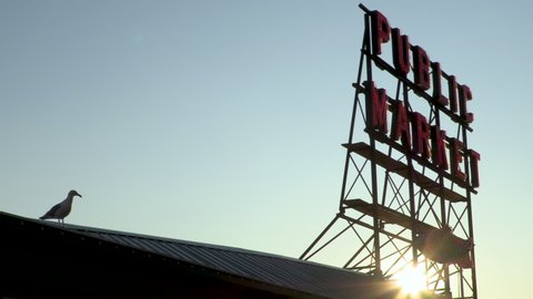 SEATTLE, WASHINGTON, USA – 29 JULY 2019, Video of a sea gull and the sun setting behind the public market sign at Pike Place Market, Seattle, Washington, USA