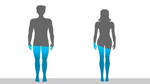 Water rate in the human body is seventy percent. Proportion H2O. Female and male silhouettes, filled with 70% water ratio. Gray blue male, female figures. White flat back. Health footage video
