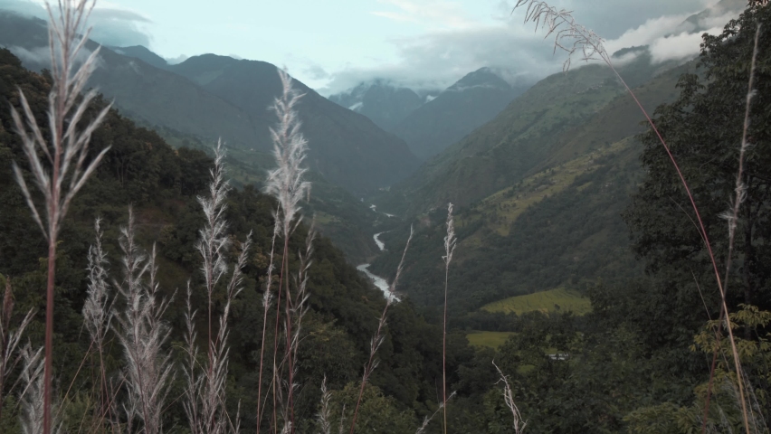 wheat in mountain ladscape with cloudy sky