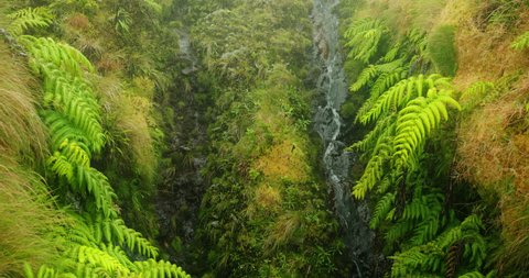 The fog over the multicolored plants covering steep slopes. Photogenic waterfall along steep hill covered in green vegetation. High quality 4k footage