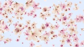 Flowers Flying Background, Looped Video