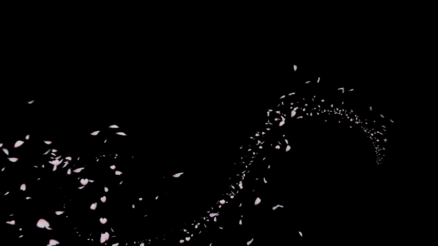 Cherry Blossom Flow Along Curve. 3D rendering. This work is spread cherry blossom petal flow curve and alpha channel you can place on footage or background easier to change colour.