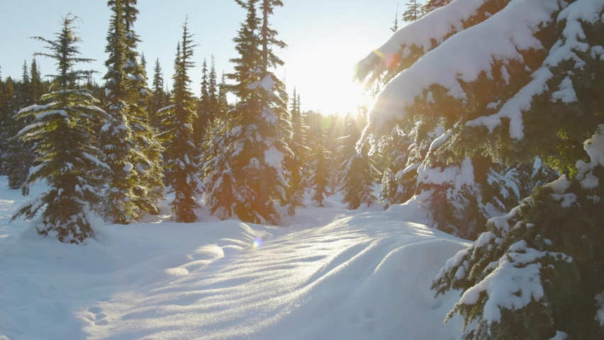 Beautiful Snow Covered Landscape in Canadian Mountain Nature during winter sunny morning. Taken in Garibaldi Meadows, near Whistler and Squamish, British Columbia, Canada. | Shutterstock HD Video #1067873294
