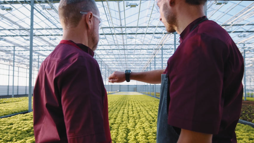 Agriculture technology of quality control. Workers monitoring harvest growth progress via smart watch. Data collection and analysing by artificial intelligence. Future agro crops concept. Greenhouse | Shutterstock HD Video #1067873534