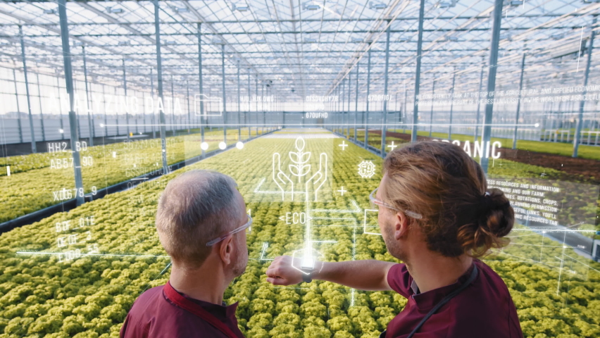 Agriculture technology of quality control. Workers monitoring harvest growth progress via smart watch. Data collection and analysing by artificial intelligence. Future agro crops concept. Greenhouse | Shutterstock HD Video #1067873534