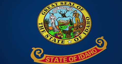 Full frame 3D animation of a flag of Idaho (USA) waving.