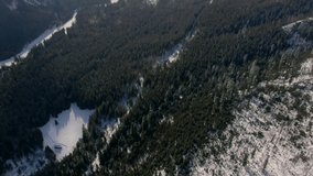 Scenic Aerial B-roll with Wild Mountains Woods and Peak Range. Epic Landscape in Sunny Winter Day. Fly Over Video with Trees on Snow Valley. 4K Background Drone Wide Shot in Tatra, Poland