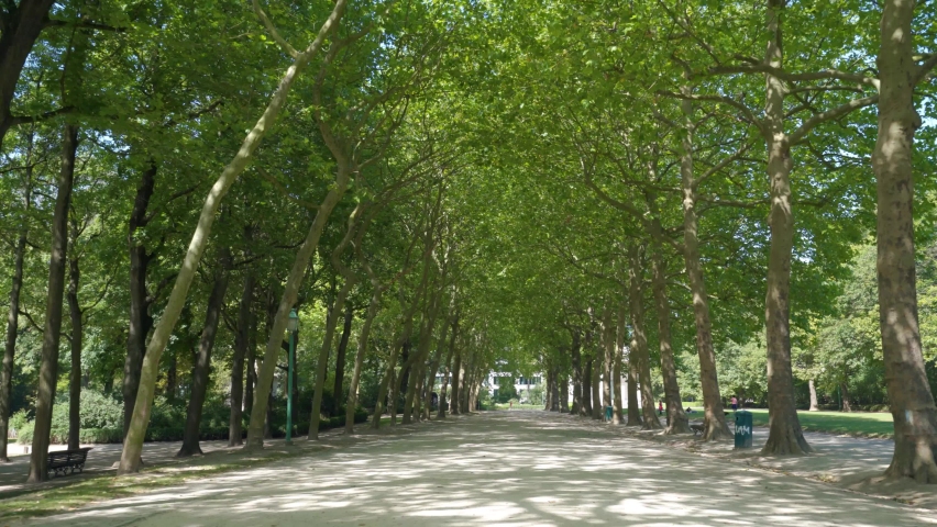Forward Dolly shot on beautiful park way with green trees and foliage on side of the park street. Warm sunny summer day in the park of Cinquantennaire park in Brussels, Belgium, people in distance.