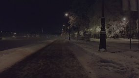 Flight on a treadmill at night in winter. Beautiful winter landscape in the park at night. Night landscape in the park in winter. Street lights are on along the road