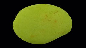 Realistic render of a rotating White Apple Mango (from Philippines) on transparent background (with alpha channel). The video is seamlessly looping, and the 3D object is scanned from a real mango.
