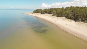 Flying drone along the sandy beach. Nice sunny warm weather. Estonian summer time. Long clip including multiple videos. Drone 4k video. Green aglae in the water. Beach near Kabli in Estonia