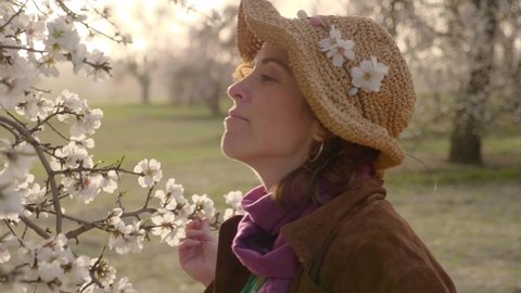 Woman smelling and touching branches of blooming almond trees in the field in Madrid at sunset. 