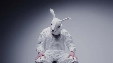 Madness and mental illness concept. Scary, crazy person in animal mask tied in a white room. Nightmare, psychosis. Paranoia and depression concept, isolated madman.