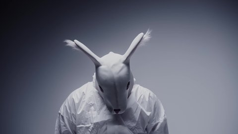 White rabbit, man dressed as an animal. Mental hospital, weird, crazy stranger. Horror laboratory, isolated, spooky person. Fear and depression concept.