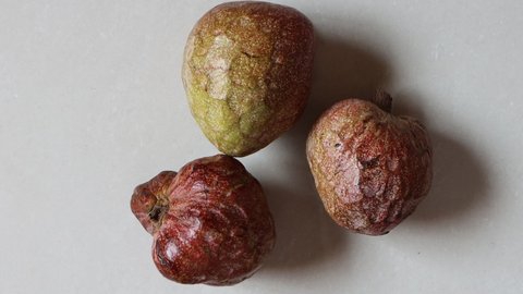Annona reticulata or Wild sweetsop, fruit, custard apple