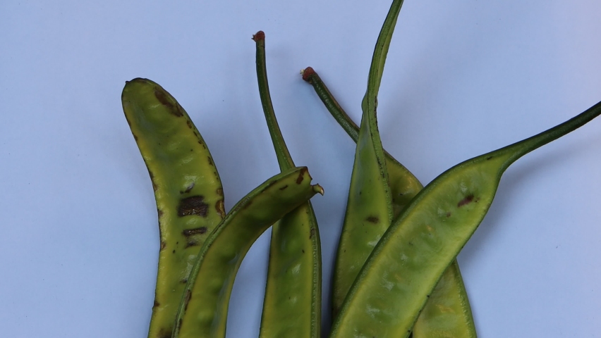Stink beans or parkia beans, bitter beans as vegetables