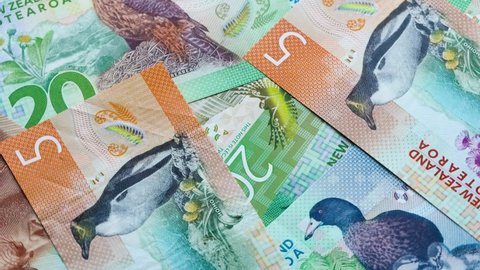 New Zealand banknote dollars falling and rotating slowly on its axis. Lottery and economy concept 