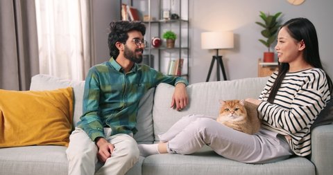 Lovely mixed-races young happy joyful couple male and female looking at camera and smiling in good mood resting at home in living room with pet animal holding cat in hands, pet lover concept